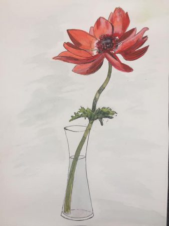 Rote Blume,21x 30 cm, Tusche und Aquarell